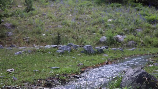 Exploring a flowing stream and rocks in a nature area during daytime