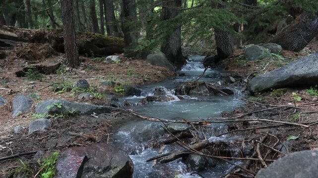 Small stream flowing through forest with rocks and trees around in daylight