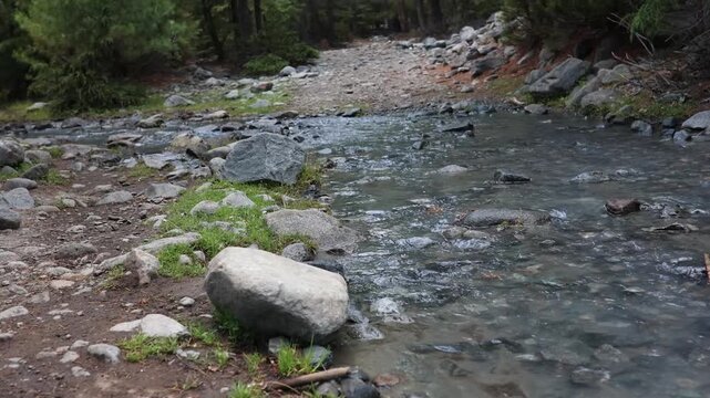 Explore a rocky riverbank with clear water running through a forested area during daytime