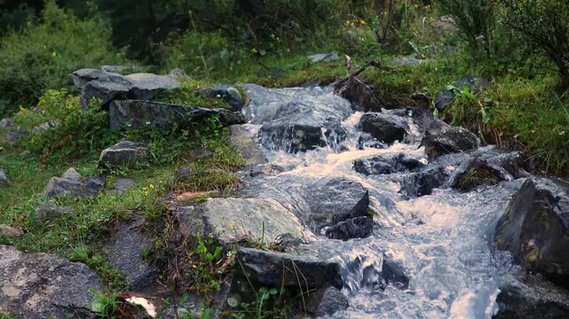 Water flows over rocks in a stream at a green location in natural light during daytime hours