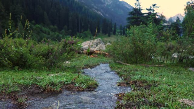 Exploring a mountain stream in a quiet valley during late afternoon light