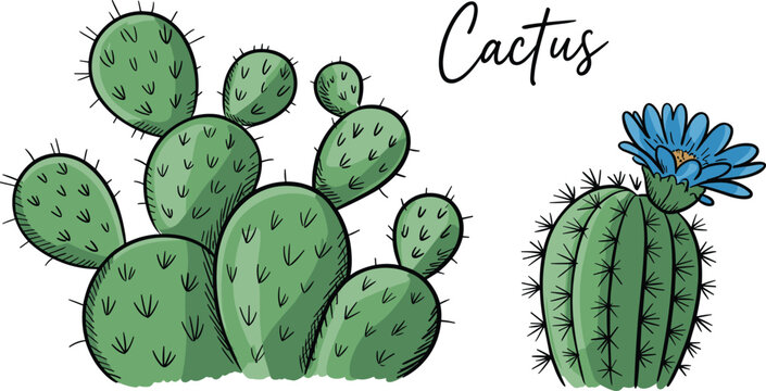 Hand Drawn Desert Cactus Clipart Set Featuring Spiky Prickly Pear Pads Barrel Cactus with Blooming Blue Flower and Calligraphy Script Label