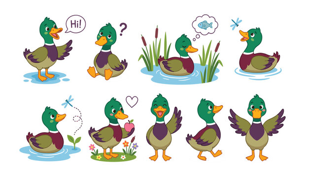Cute mallard duck characters set featuring funny green head drakes swimming waving thinking and holding apple vector illustration