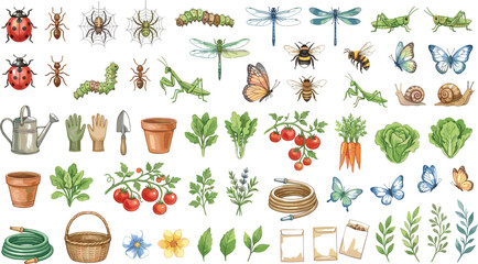 Garden watercolor element set with backyard insects vegetables plants and gardening tools © MdAmzad