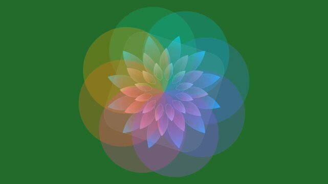 Green Flower on Green Screen Background Horizontal 16-9
