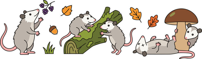 Fototapeta premium Cute Cartoon Opossum Character Collection Featuring Funny Forest Marsupials Playing Climbing Relaxing and Woodland Nature Vector Illustration Set