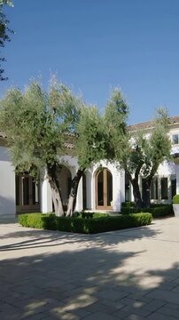 Vertical video: Pulling back at arch door camera revealing hedge planter olive trees showing facade
