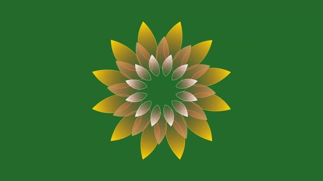 Green and Yellow Flower on Green Screen Background Horizontal 16-9