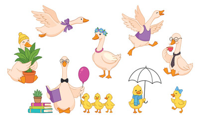 Cute geese and little ducklings characters set featuring happy birds reading books holding plant umbrella flying and drinking tea © Ruma
