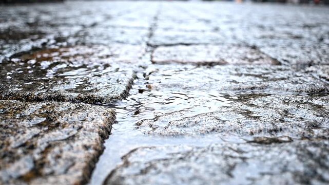 Close-up view of wet cobblestone pavement during a heavy rain shower on a street in an old European city town