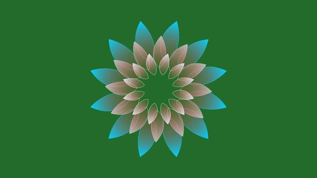 Blue, Green, Brown Flower on Green Screen Background Horizontal 16-9