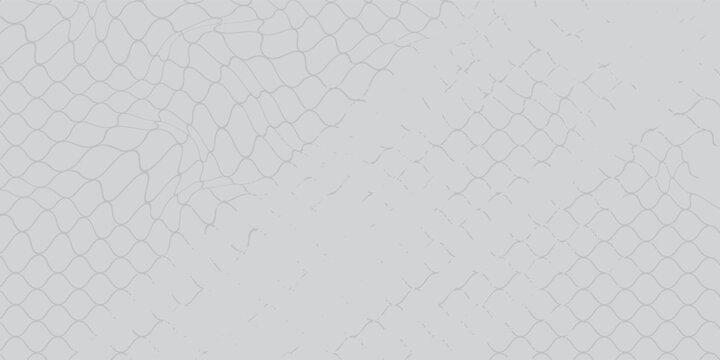 Black snake skin pattern isolated on white background eps 10