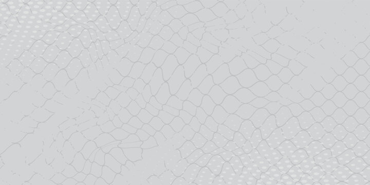 Black snake skin pattern isolated on white background