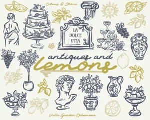 Antiques And Lemons Whimsical Set - hand drawn vector illustration collection © Wiktoria Matynia