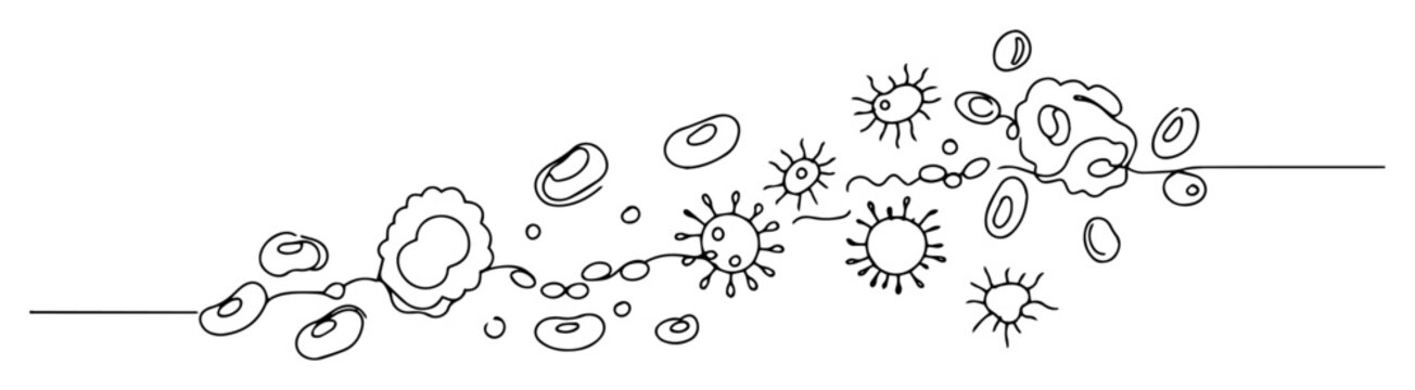 bloodstream with bacteria and red blood cells