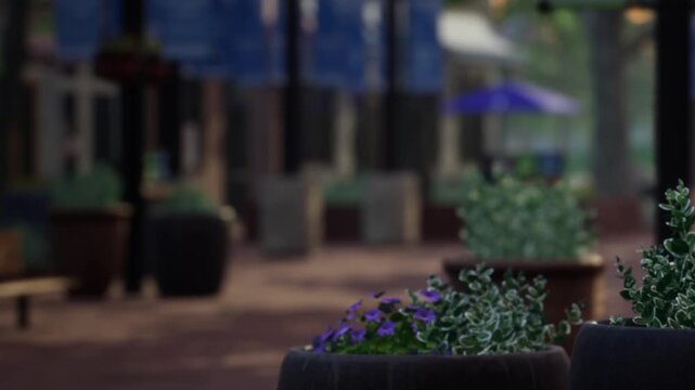 People enjoy their time in the marketplace with colorful flower pots placed around. Some umbrellas provide shade while plants are arranged for decoration.
