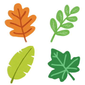 Four colorful leaves are arranged on a plain background together
