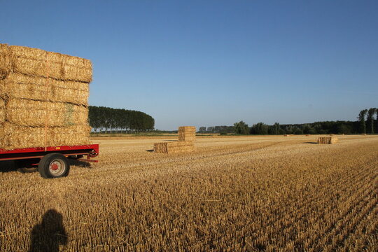 a fully loaded car with straw bales in a field with straw and a baler and trees in the background in the countryside in summer