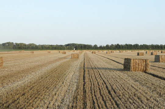 a large field with big square straw bales in the countryside in summer