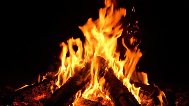 Intense Campfire Flames Burning Brightly in Darkness.