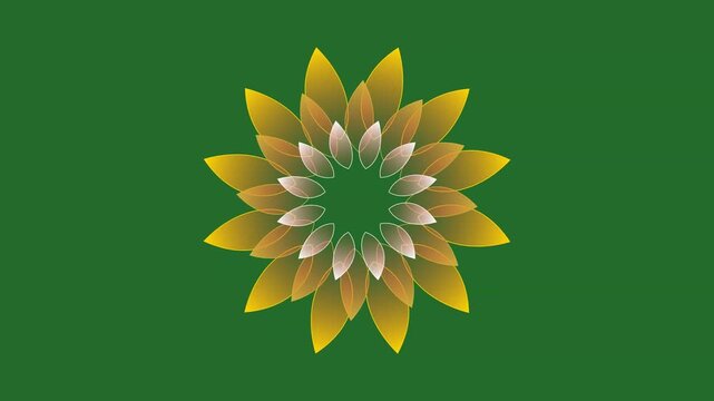 Green and Yellow Flower on Green Screen Background Horizontal 16-9