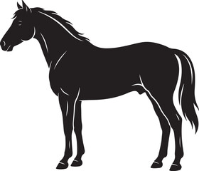 Obraz premium Black horse silhouette vector illustration