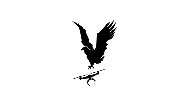 Anti-drone bird, black isolated vector silhouette