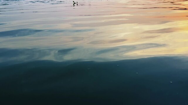 Dark Muddy Water Ripples Moving Gently In A Calm River