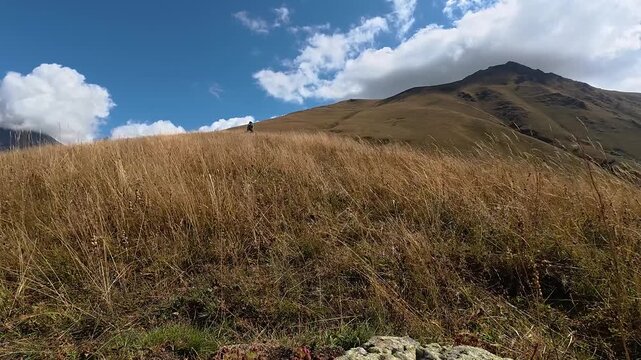 4K A distant hiker walks across an expansive golden grassland beneath a rugged mountain peak under a bright blue sky with clouds, Georgia.