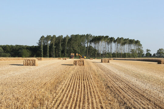 a beautiful field with big straw bales and a car and a row of trees in the background in summer
