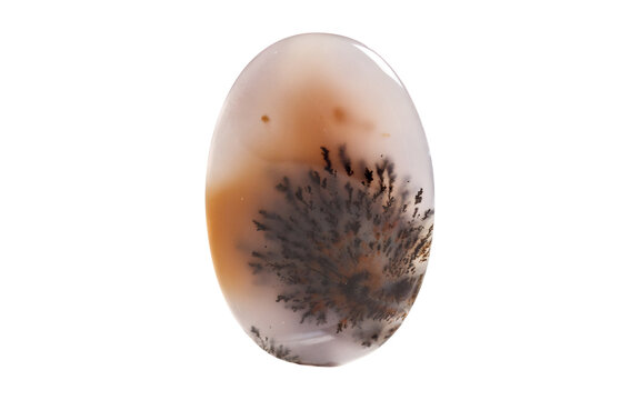 Oval scenic chalcedony slice showcasing organic fern and moss structures. High quality graphic asset background for modern brand identity and print mockup