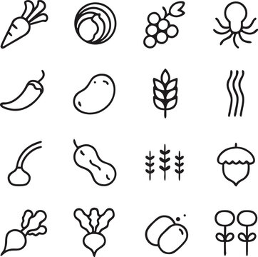 Hand Drawn Vegetable and Fruit Outline Icons Bundle, Minimal Organic Food Line Vector Collection