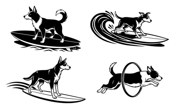 Active dogs surfing on ocean waves and jumping through agility hoop