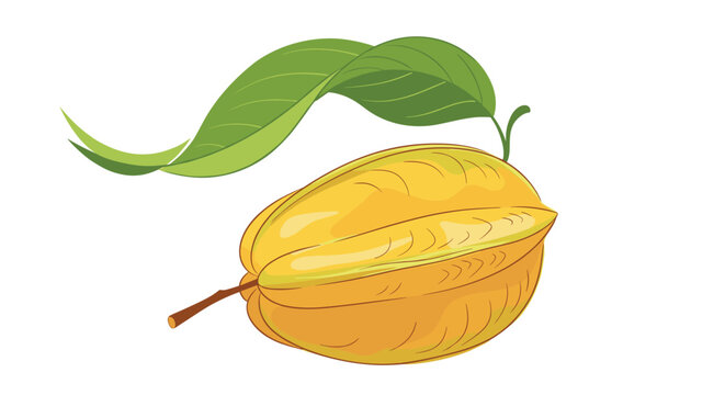 Whole ripe yellow starfruit carambola fruit with green leaves on a stem isolated on a plain white background.
