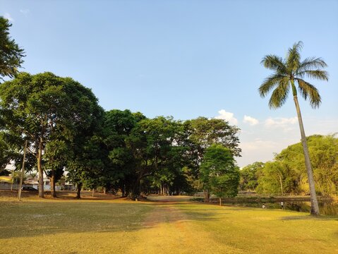 Goi&acirc;nia &eacute; a moderna capital do estado de Goi&aacute;s, no Brasil. Fundada em 1933, &eacute; mundialmente famosa como a "Capital Verde"