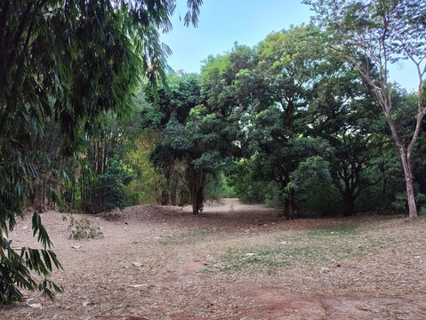 Goi&acirc;nia &eacute; a moderna capital do estado de Goi&aacute;s, no Brasil. Fundada em 1933, &eacute; mundialmente famosa como a "Capital Verde"