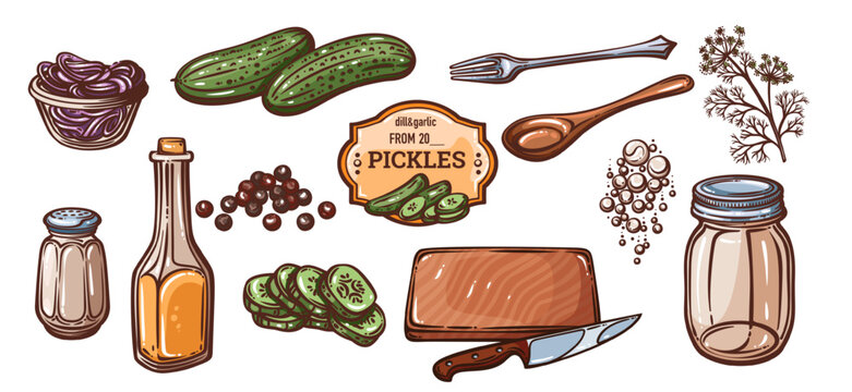 Pickle making elements set with cucumbers, dill, garlic, peppercorns, utensils and vinegar. Recipe and preserving designs use this pickle making elements set, hand drawn vector illustration.