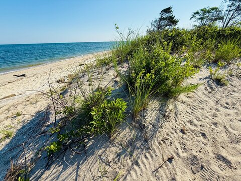 Short Beach, Smithtown Nissequogue, NY. North Shore Long Island Sound, picture perfect.  Serene and tranquil on a warm summer day in the morning in July. Near King's Park Bluffs and Sunken Meadow Park