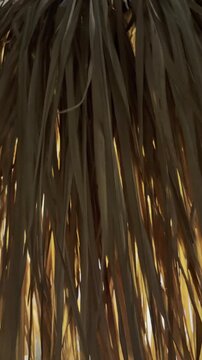 Warm light shining through swaying dried palm leaves, creating a tropical textured vertical background for resorts, hospitality, wellness, travel, and lifestyle content.