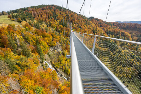 Suspension bridge Blackforestline at Todtnau waterfall in the Black Forest in autumn in Todtnau, Germany