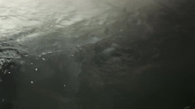 Abstract pool water ripples with cinematic light and shadow, ideal for luxury branding, wellness, hospitality, motion graphics, travel, and premium lifestyle backgrounds.