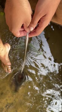 Water droplets fall onto a vibrant peacock feather held in a young boy's hand, paired with footage of feet gently touching canal water &mdash; a sensory, mindful moment connecting with nature