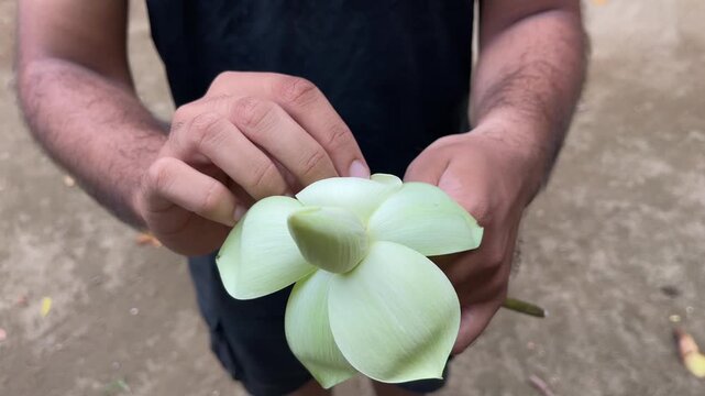 A young Asian boy gently blooms and holds a white lotus flower in his hands, symbolizing mindfulness, purity, and spiritual devotion. ideal for meditation, wellness, and Buddhist worship themes