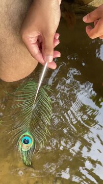 A young boy holds a peacock feather while dipping his feet in a canal, fully present and enjoying nature.  calm, sensory moment capturing mindfulness, childhood wonder, and connection with the outdoor