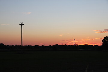 Obraz premium Storchennest und Windrad in der Abendsilhouette