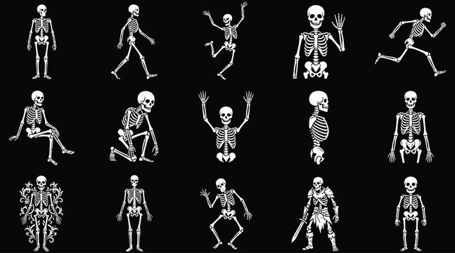 Halloween vector bundle diverse skeleton poses for spooky designs party invitations and october celebrations