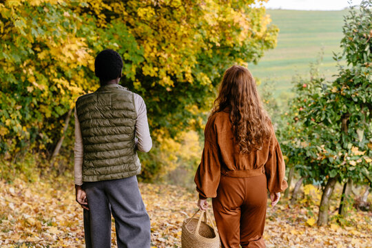 Diverse female friends from behind walking through autumn orchard with basket and warm drink