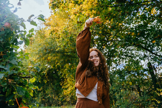 Joyful freckled red-haired woman raising autumn leaves in sunlit apple orchard