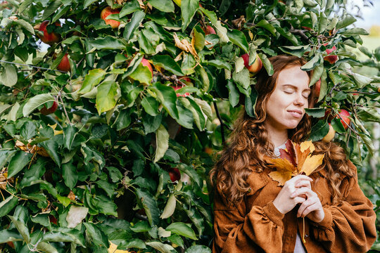 Peaceful freckled red-haired woman holding autumn leaves among ripe apples in orchard