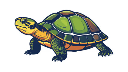 Fototapeta premium Detailed green turtle walking in natural side view